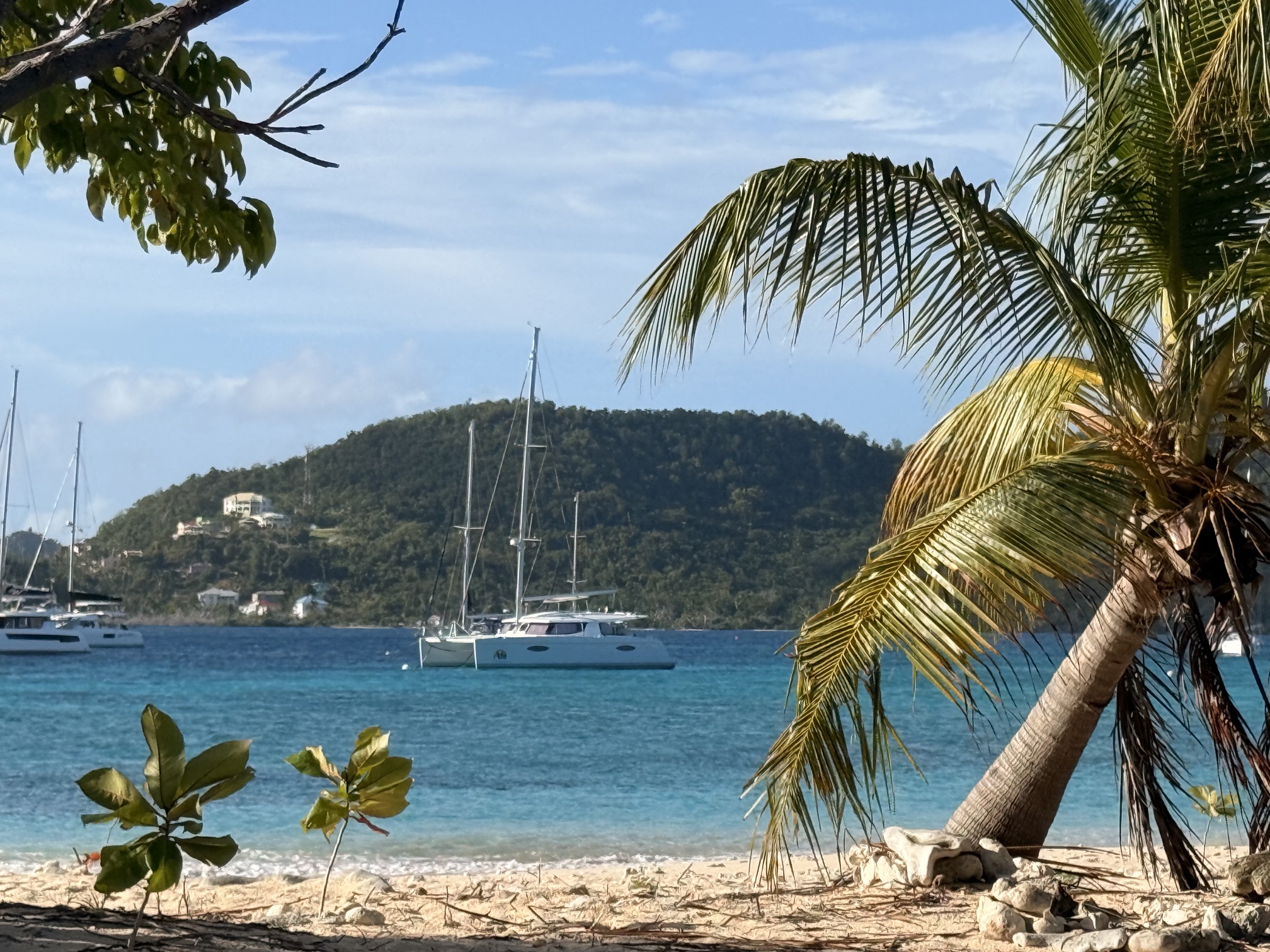 Boat image 121